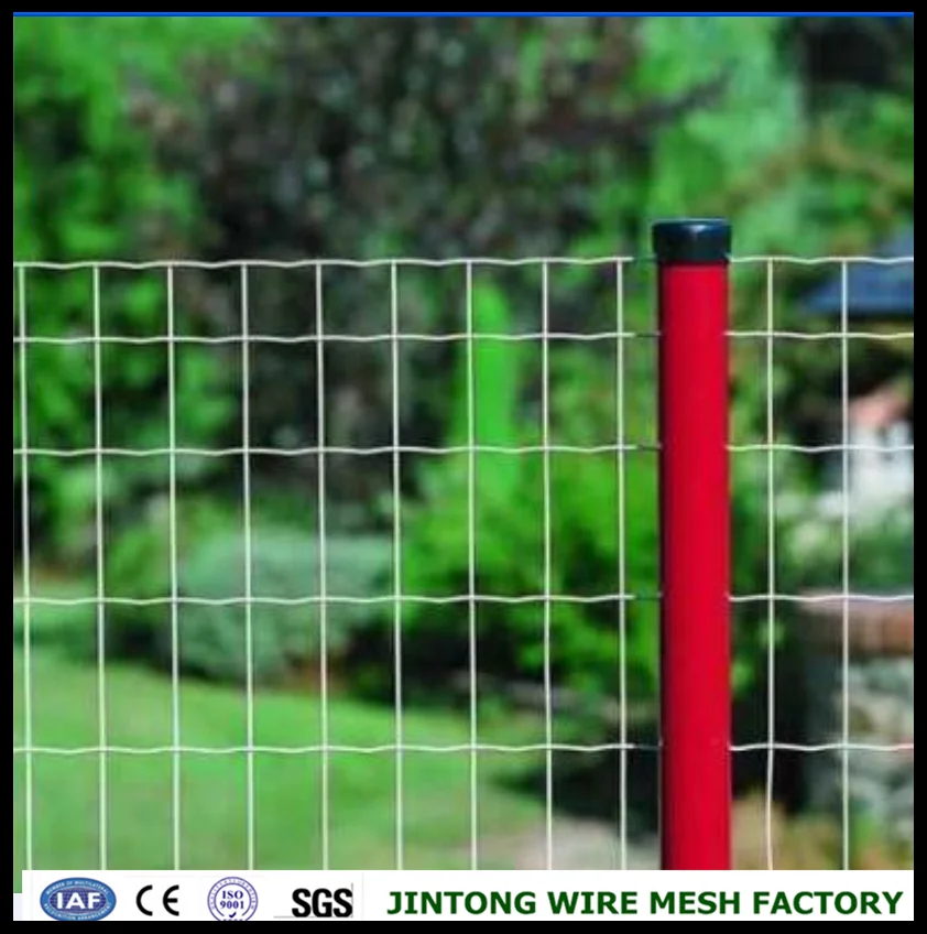 Metal Fence Brace Curve Wire Fence,Galvanized Welded Wire Mesh Buy