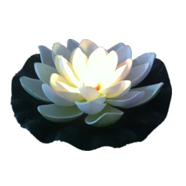 Floating lotus лилейник