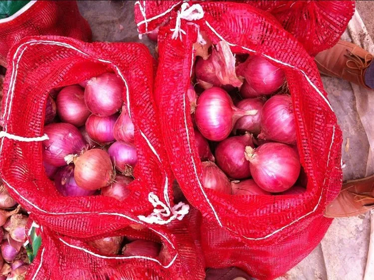 Wholesale Organic Onion Price For Sri Lanka Export To Sri Lanka Buy