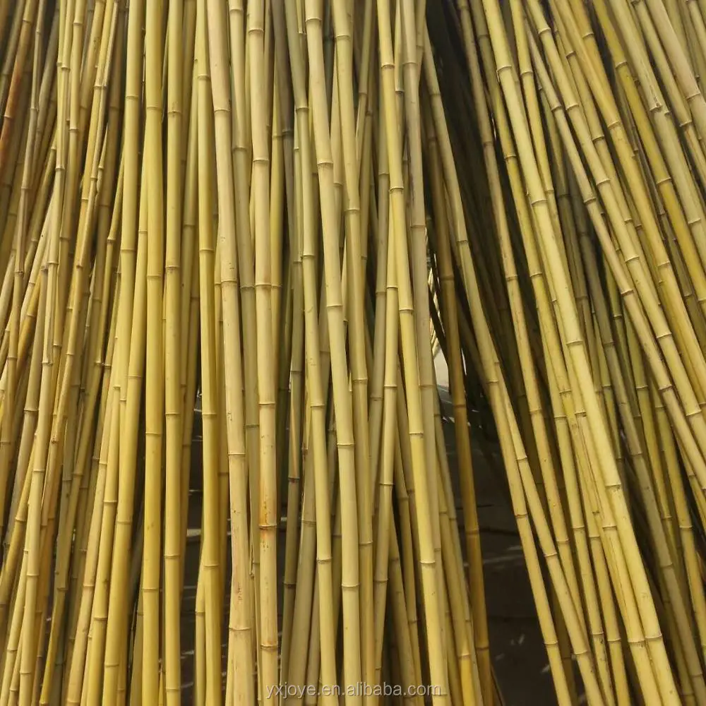 bamboo fishing pole
