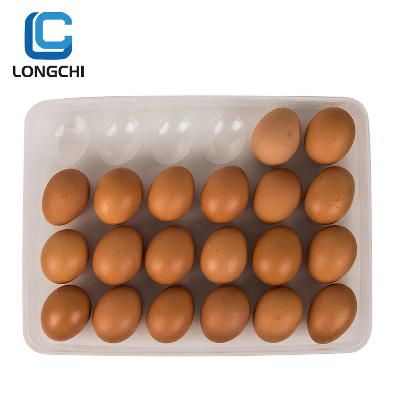 household egg storage box tray