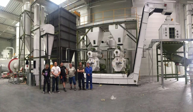 Wood pallet/Woodchips/Paper Pulp/Biomass Pellet Machine Granulator 