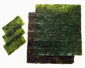 the seaweed