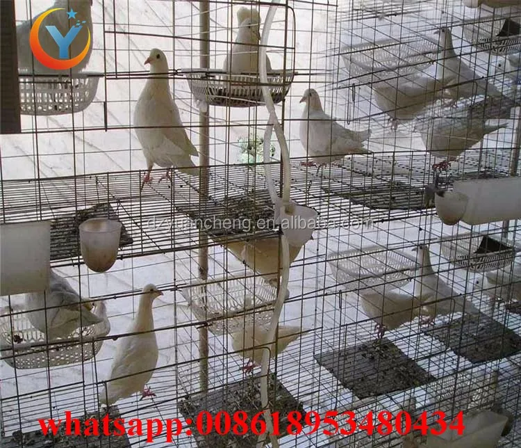 Pigeon Breeding Cage For Pigeon Layer Cages With Accessories For Sale