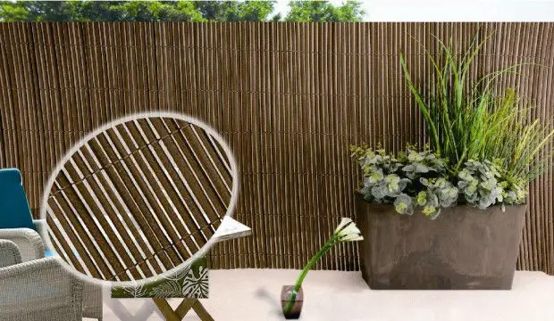 A_O_~D~OMHLS8MSZDDH1XPI