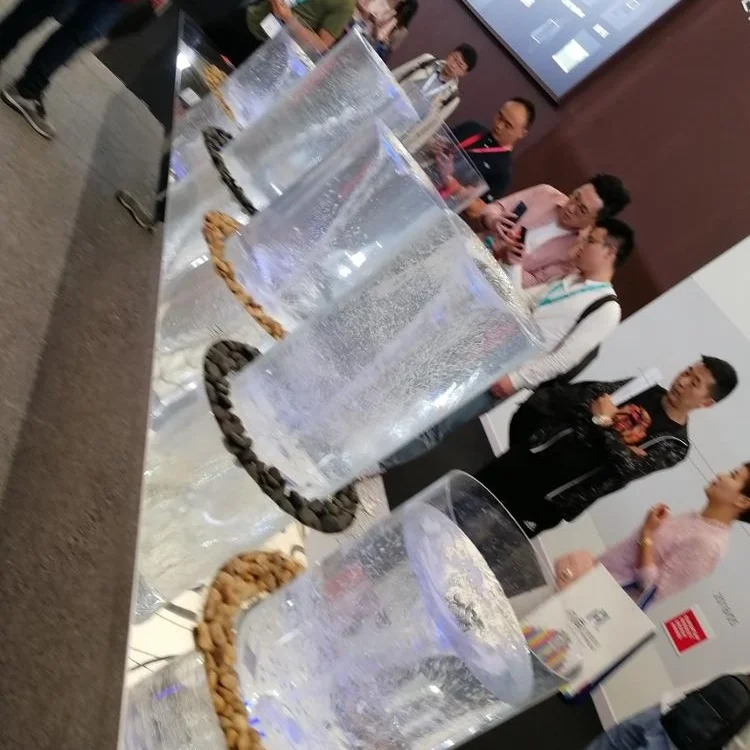 IMG_20190425_115052.jpg