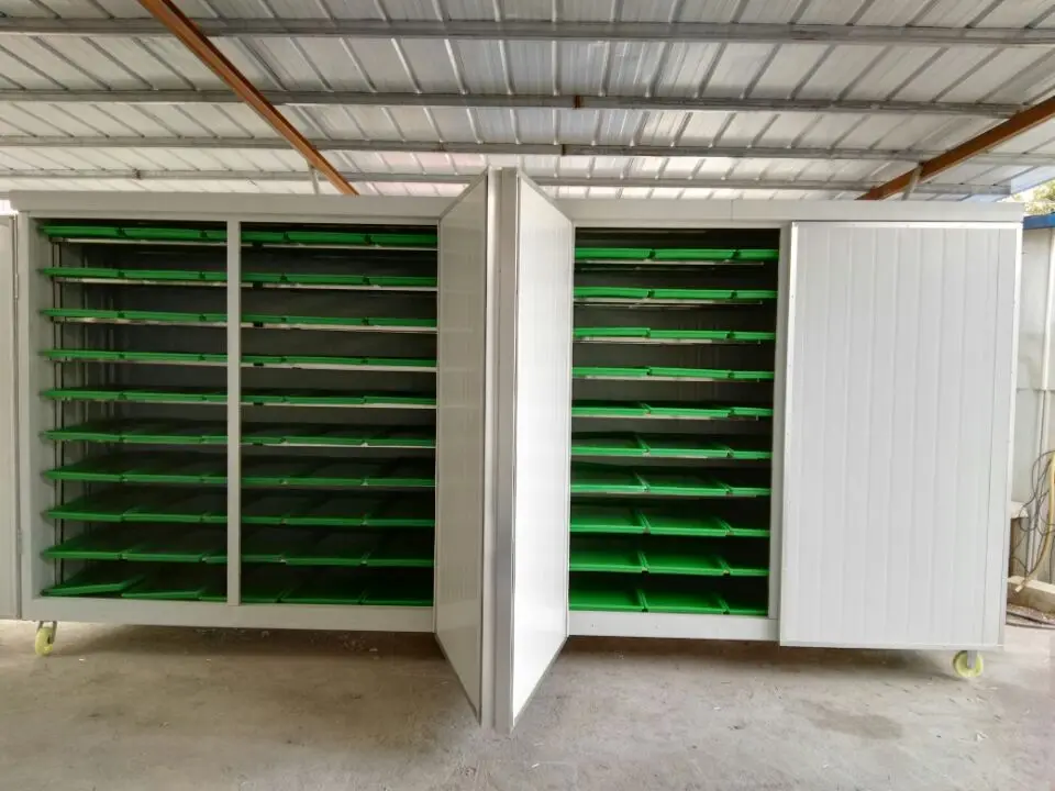 bud seedling machine (12).jpg