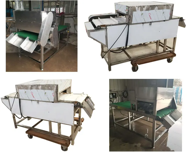 Automatic Fish Gut Removal Cleaning Gutting and Scaling Machine Fish Processing Plant details