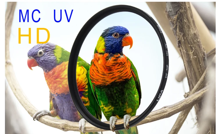 MC UV 2.jpg