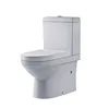 Good Quality Wholesale Sanitary Ware S trap/P trap Two Piece Washdown Bathroom Toilets
