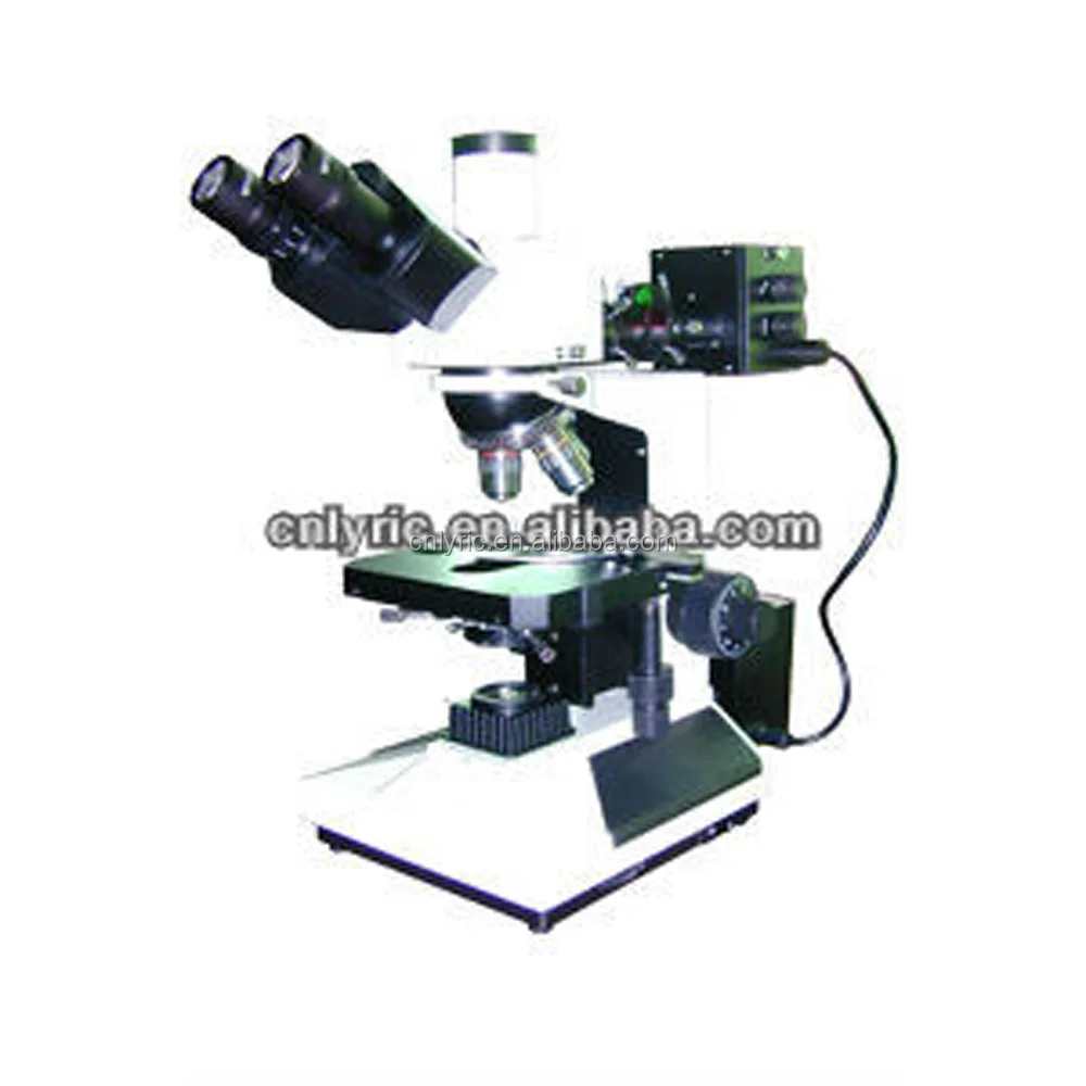 L2020A.jpg