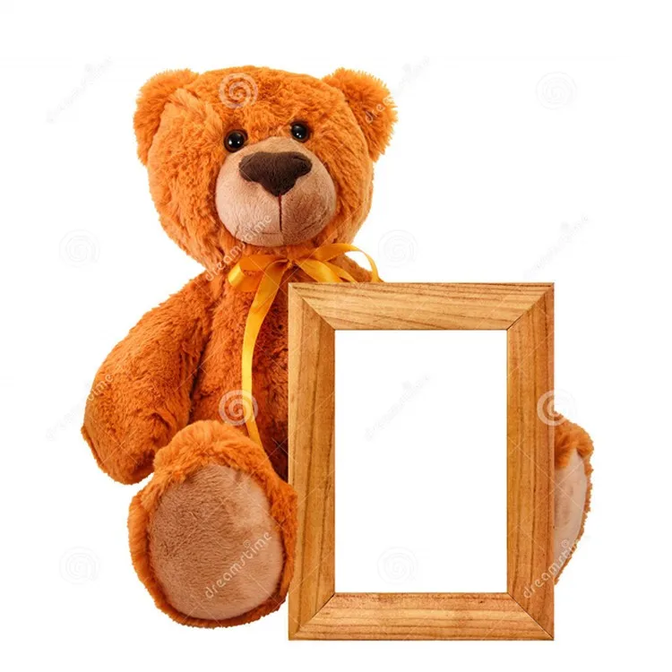 Cute Graduation Soft New Teddy Bear Photo Frame 60642541942