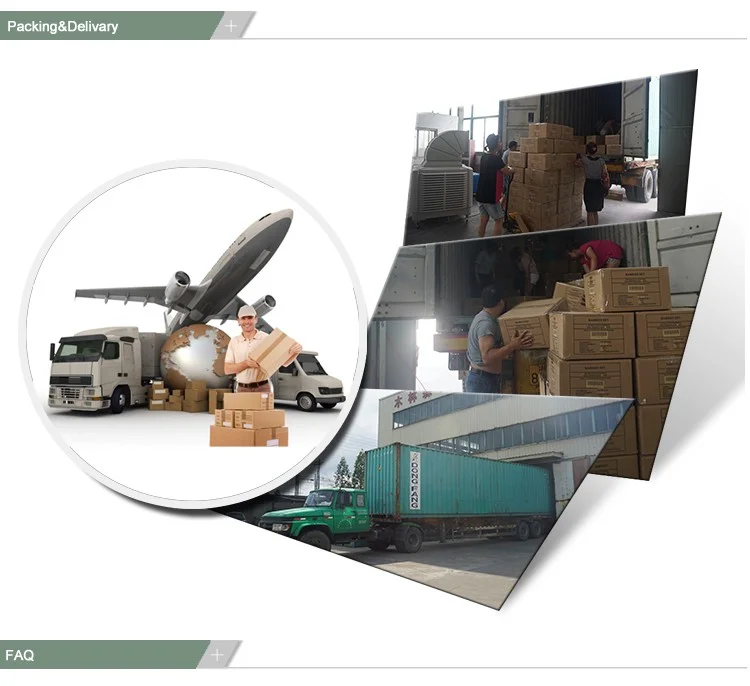 paste-pic-dp_uuid_i7jgr