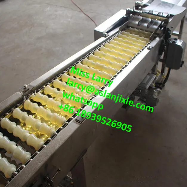 egg testing machine