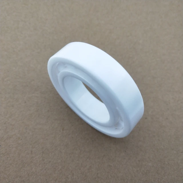 6007 ceramic bearings.jpg
