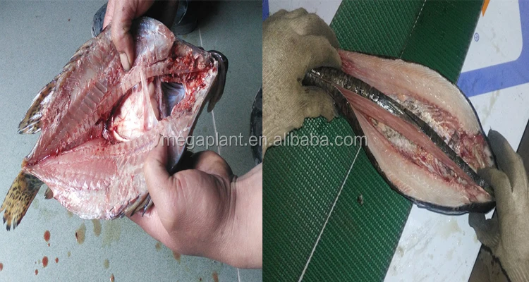 Fish Meat Exacting Machine /fish Bone And Meat Separating Machine/ Fish Bone Remover