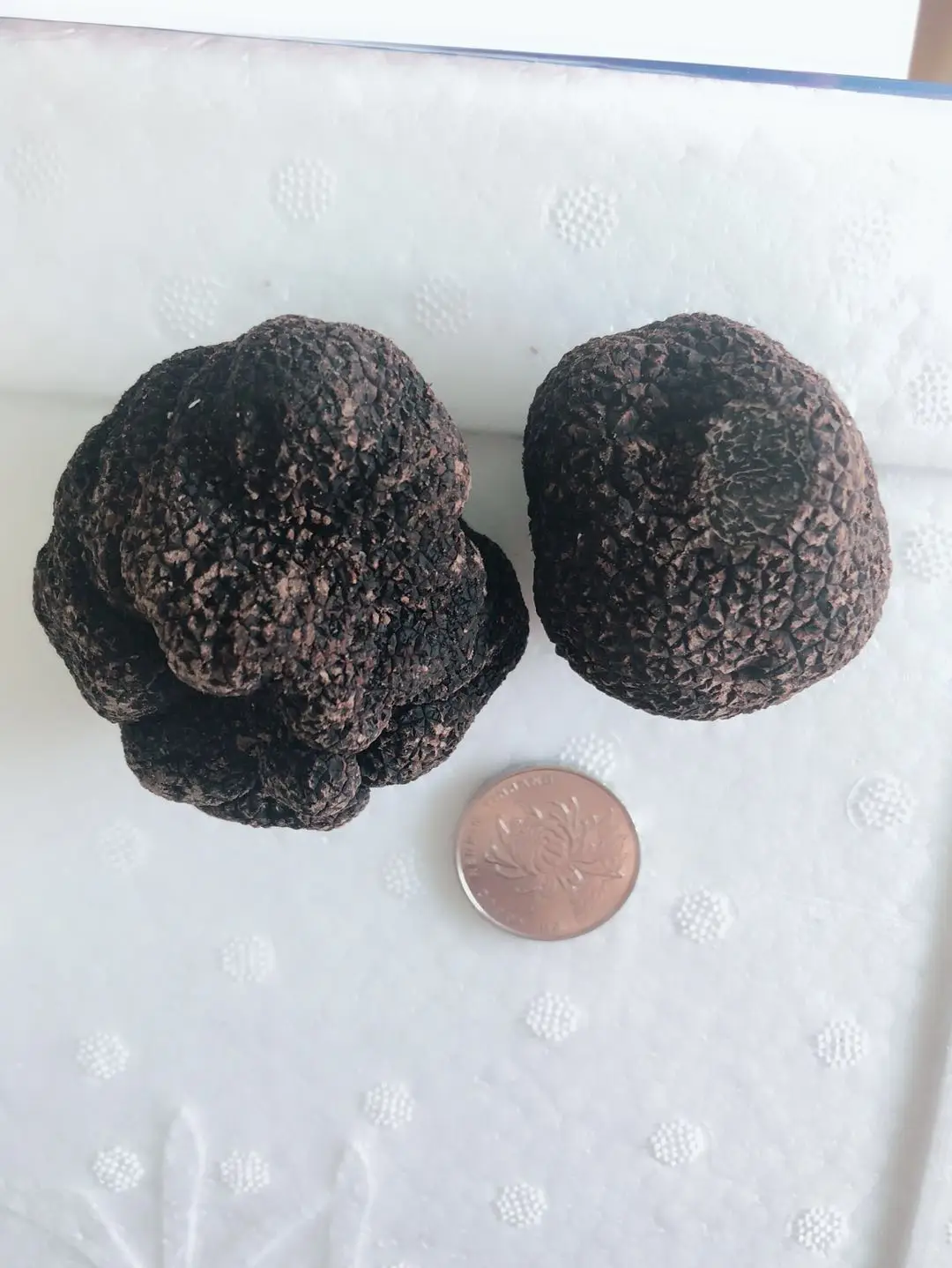 Detan Fresh Black Truffle Wholesale Mushroom Prices - Buy Truffle ...