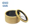 Hydraulic Piston Seal PTFE Glyd Ring