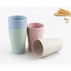 2019 High Quality Good Price Food Grade Plain ice cream plastic cup biodegradable wheat straw cup
