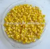 canned sweet corn (canned vegetable)