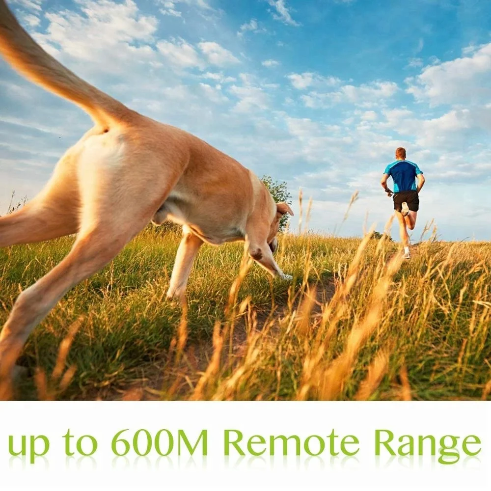 620 remote range.jpg