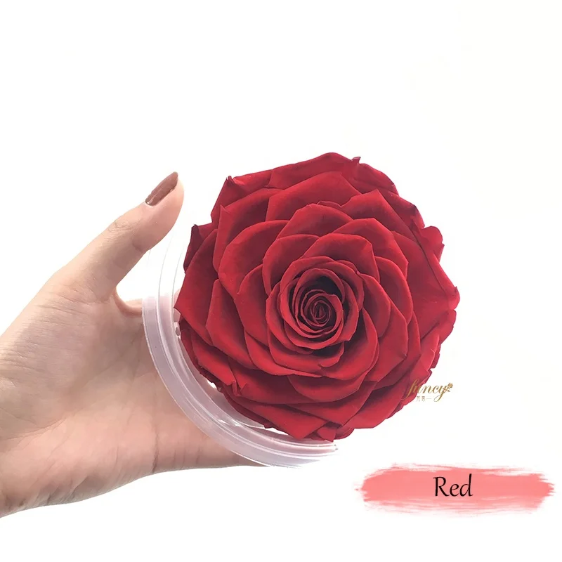 Wholesale Products China Home Decorating Rose Heads Preserved Flower