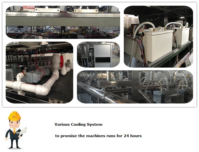 Continuous Shrimp Drying Machine