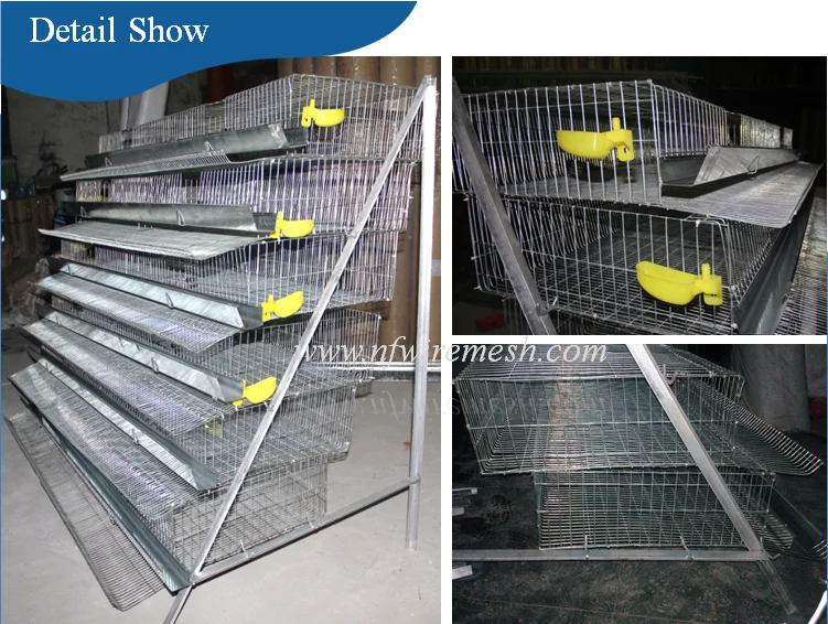 Design 6 Layers Plastic Quail Cage For Sale (guangzhou Factory ) Buy