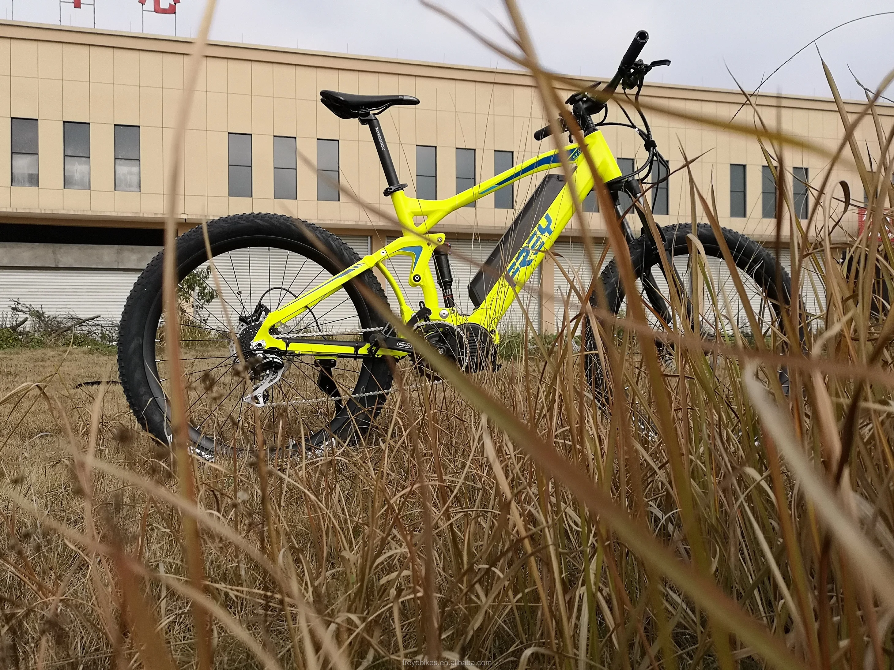 frey am1000 ebike