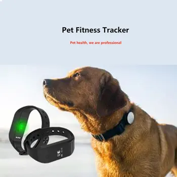 amazfit stratos vs honor watch magic