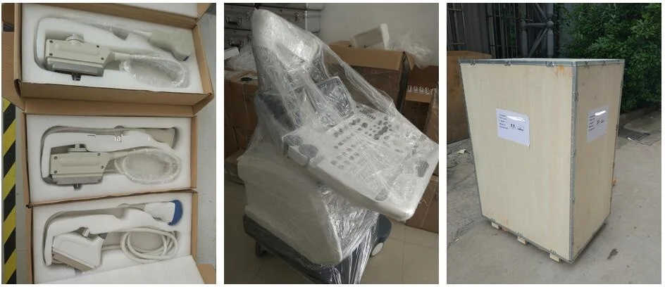 Ultrasound Medical Equipment C-90 3.0 4D Ultrasound Machine