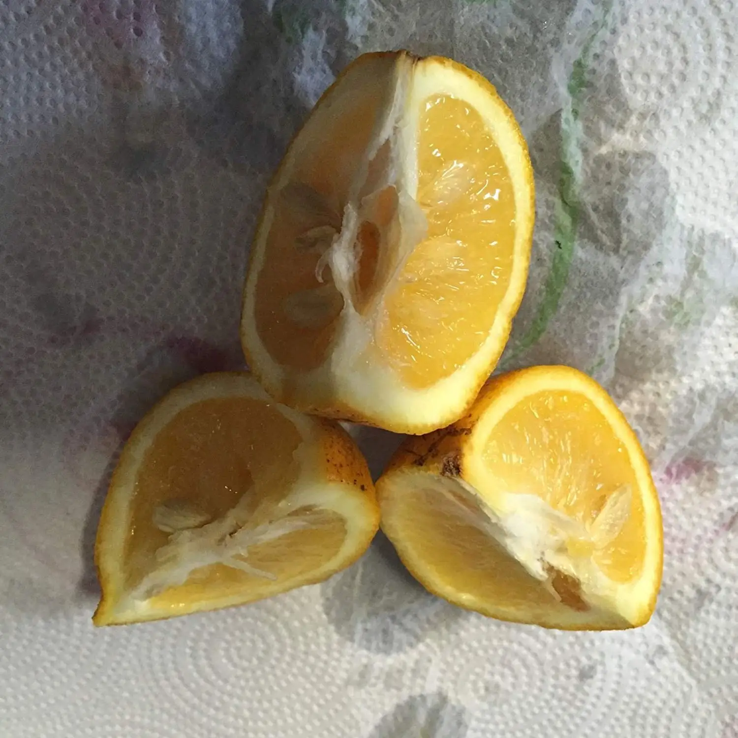 Cheap Seeds Orange, find Seeds Orange deals on line at