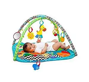 bright starts kaleidoscope safari activity gym