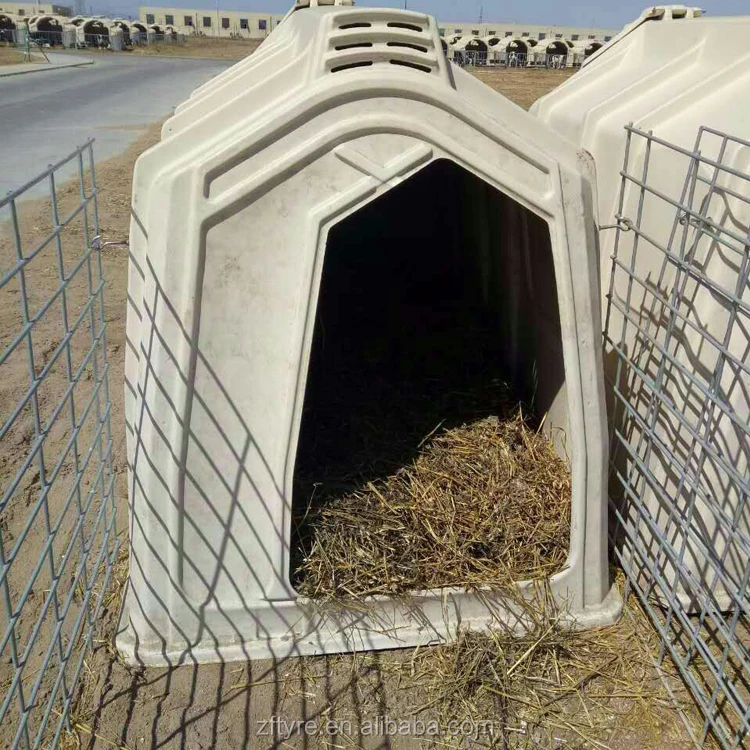 Farm Cow Calf Hutch Houses With Steel Fence Around Buy Calf Hutch