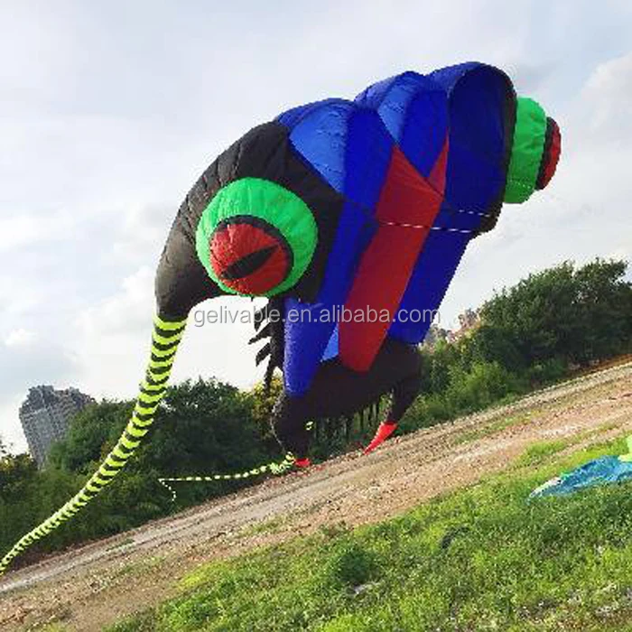 kite flying  (2).jpg