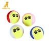wholesale manufacturer round interactive chew pet dog tennis ball toy