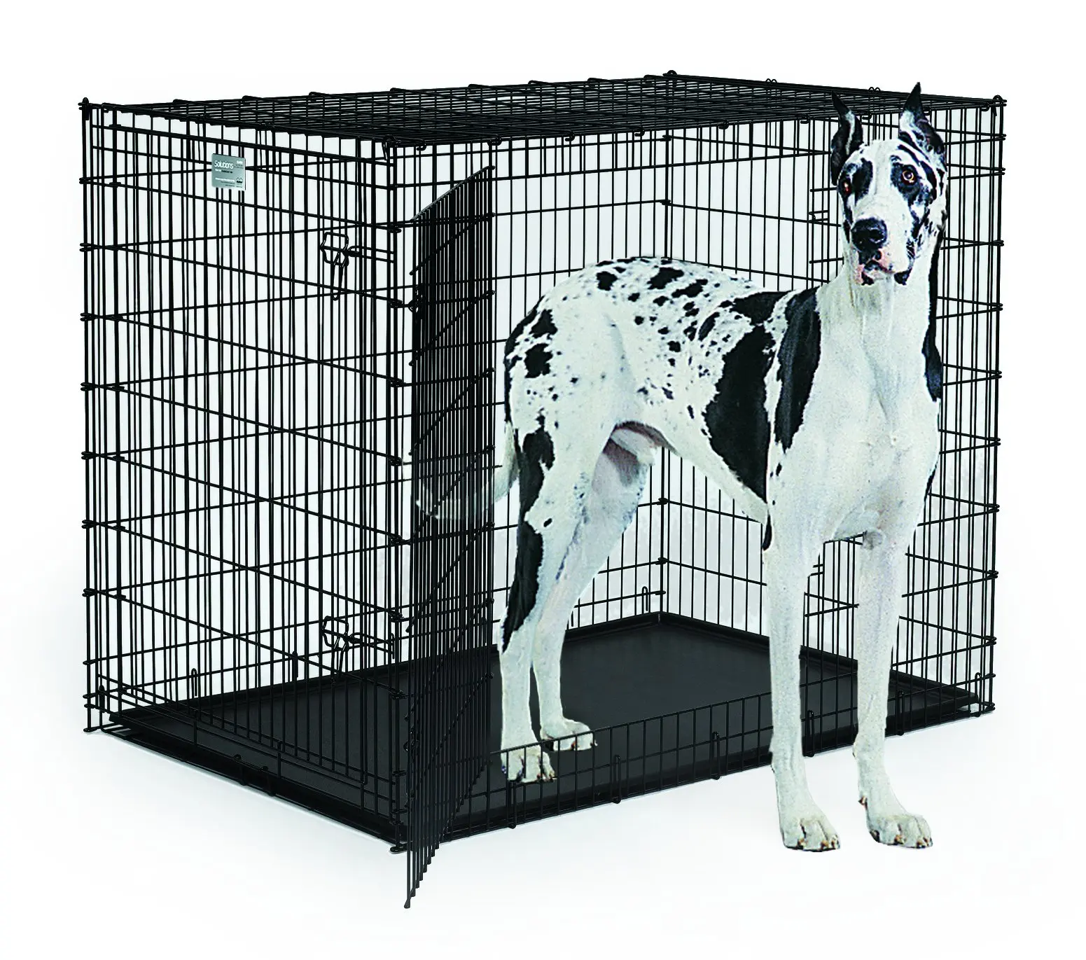 Buy MidWest Homes for Pets XXL Giant Dog Crate | 54-Inch Long Ginormous