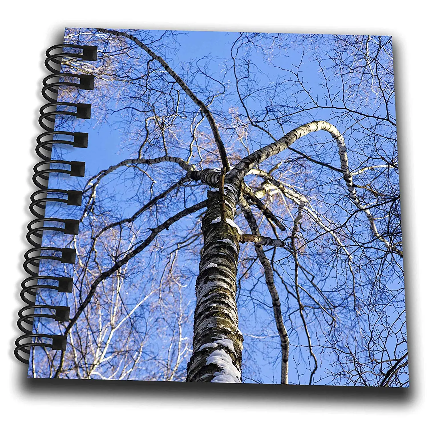 Cheap Decorative Birch Tree Branches, find Decorative Birch Tree