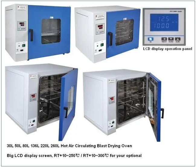 Hot Air Circulation Sterilizer Drying oven/small fruit drying machine/Electric Heating Air Blast Drying Oven