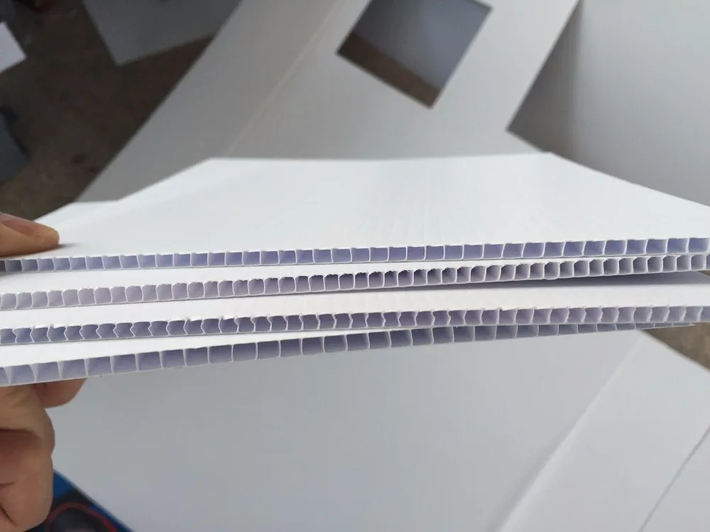 Clear Pp Corrugated Plastic Wall Panels Buy Plastic Wall Panels