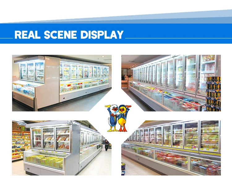 kucuk ordek buzdolabi dondurucu kombinasyon dolap tipi gida vitrin e7 austin buy ekran dondurucu kolaylik magaza refrige vitrine buzdolabi product