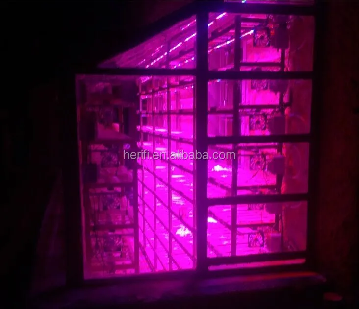herifi grow led lights.jpg