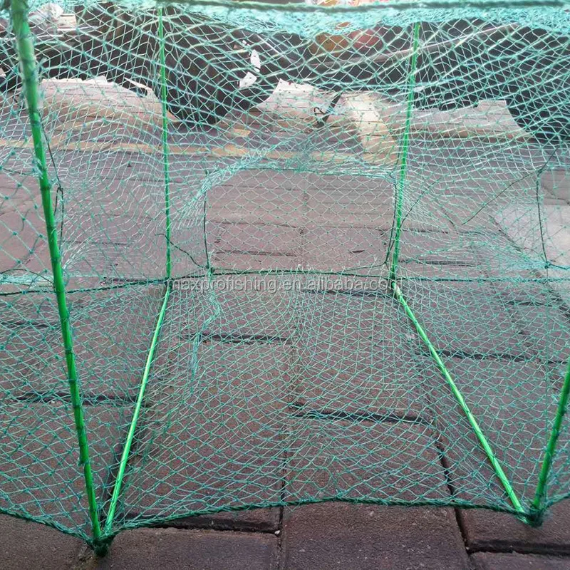 eel trap (1).jpg