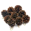 Decorative 1.5"- 2.5" Pine Cones Natural Dried Pine Cones Crafts Fall Winter Holiday Xmas Decoration Supplies