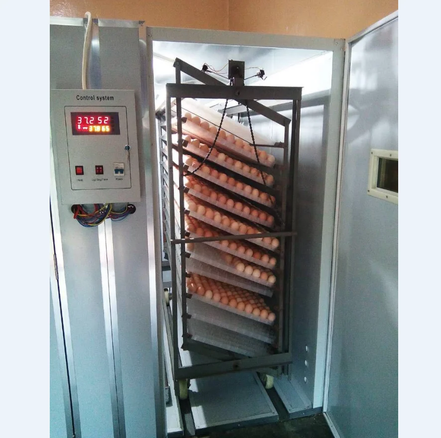 Wholesale High Hatching Rate Chicken Eggs Incubator With ...