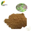 Best quality organic bacopa extract powder Bacosides monnieri Bacopaside brahmi herb