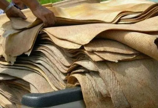 rubber sheet buyer