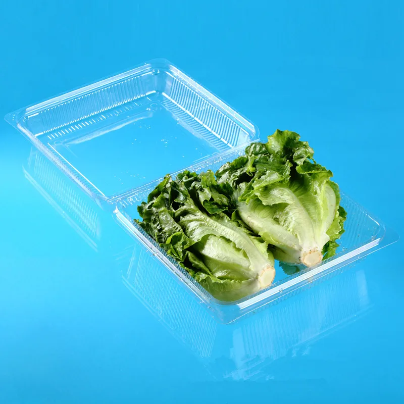Disposable Plastic Clamshell Lettuce Packaging Buy Pet,Vegetable