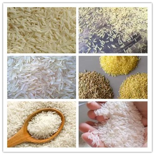 Hot sale nutritional rice machine for Improving Immunity