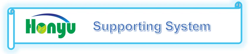 supporting system.png